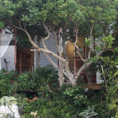 Quirky Eco-Friendly Artist Studio Cape Town Exterior photo