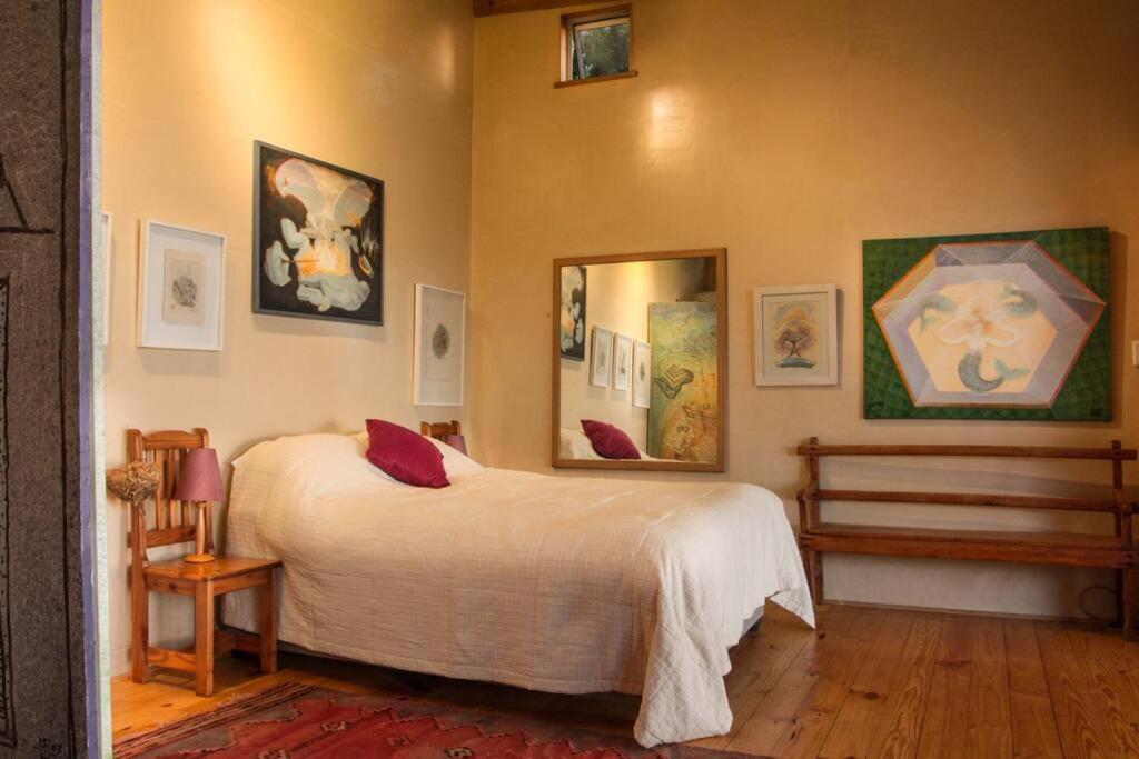 Quirky Eco-Friendly Artist Studio Cape Town Exterior photo